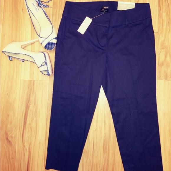 Ann Taylor Pants - Ann Taylor Pants petite